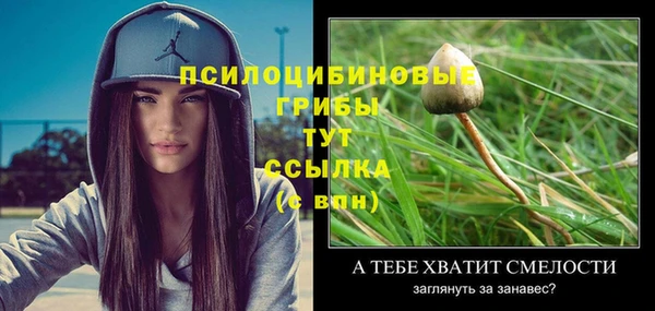 спиды Переславль-Залесский