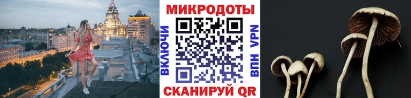 Купить закладки  Дюртюли  Псилоцибиновые грибы Psilocybine cubensis 
